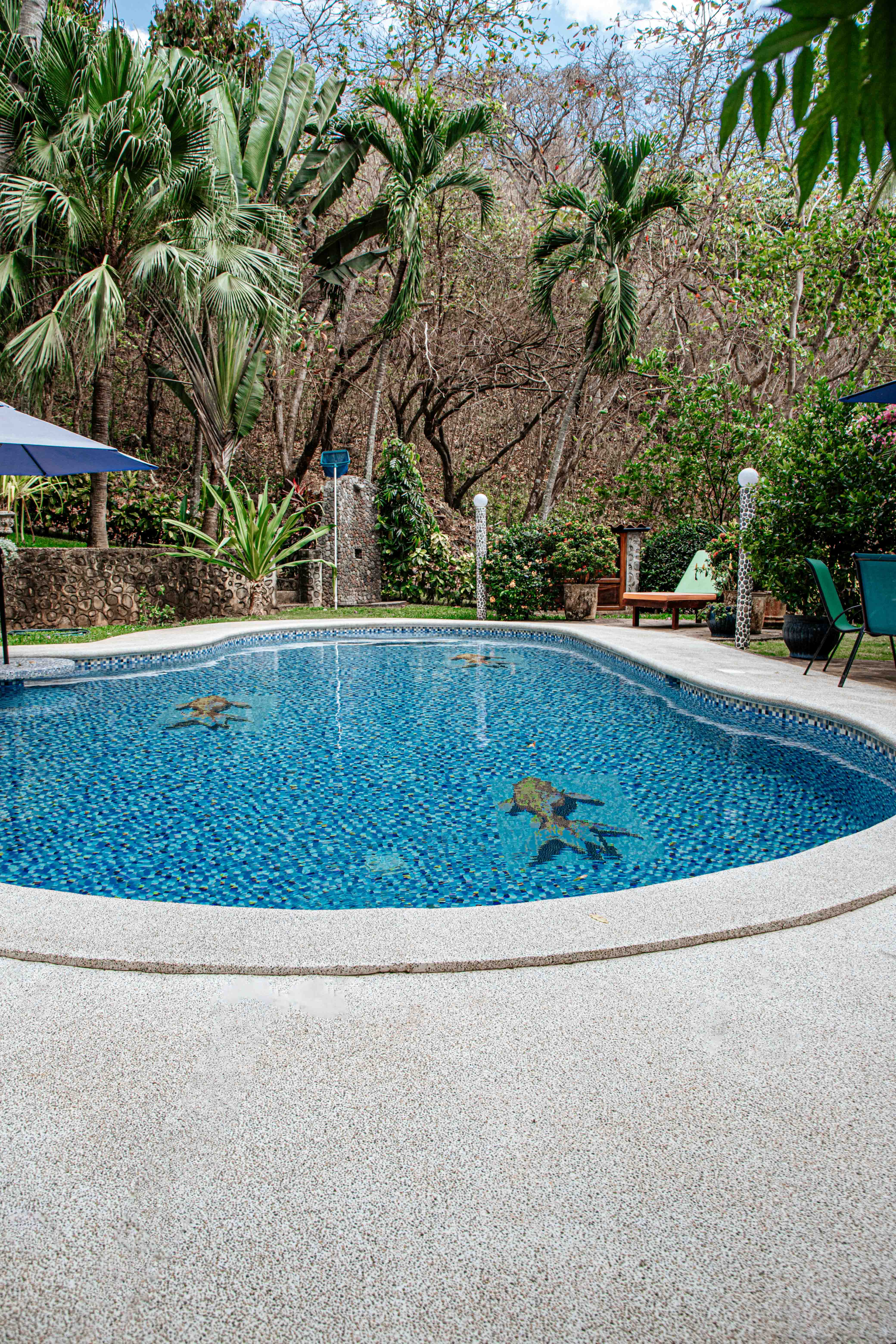 Pool surrounded by tropical gardens and bougainvillea
